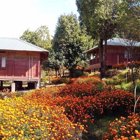 Kalsee Ecolodge Kāskī Kültér fotó